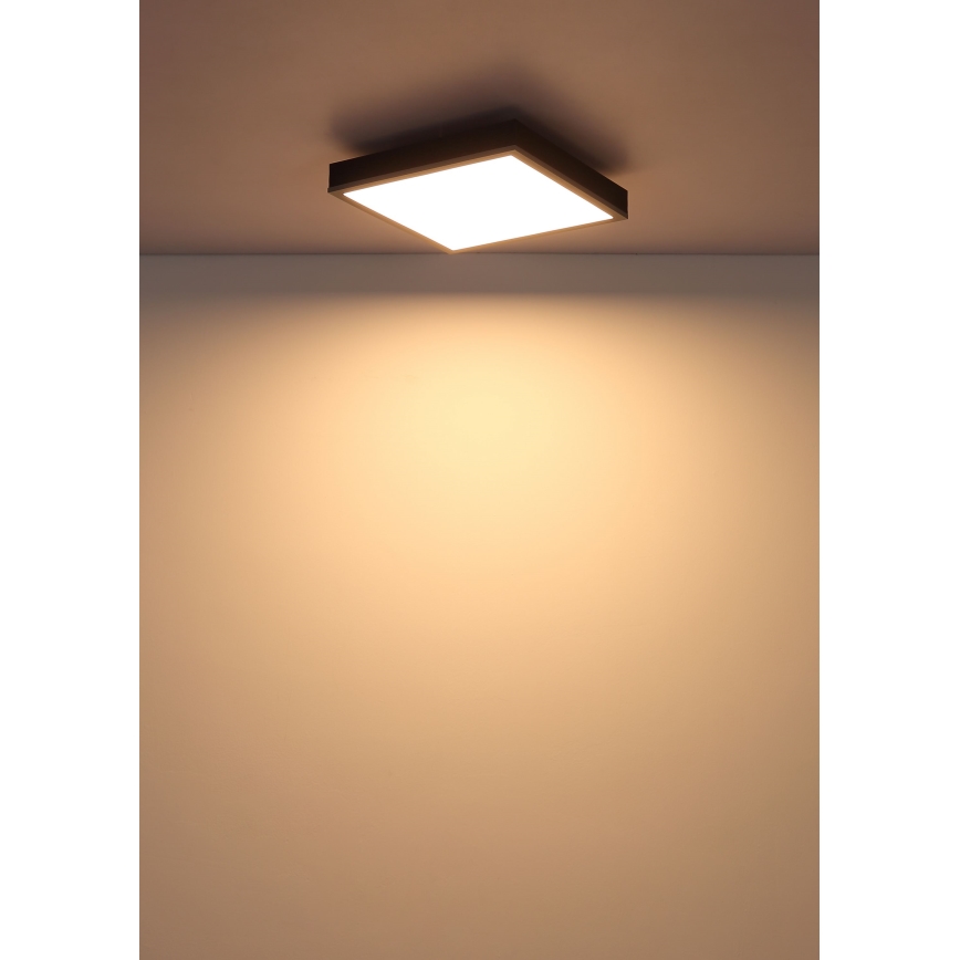 Globo - Iluminação de teto LED LED/12W/230V 3000K 30x30 cm