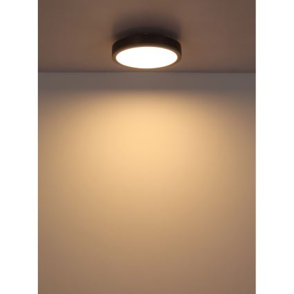 Globo - Iluminação de teto LED LED/12W/230V 3000K diâmetro 30 cm