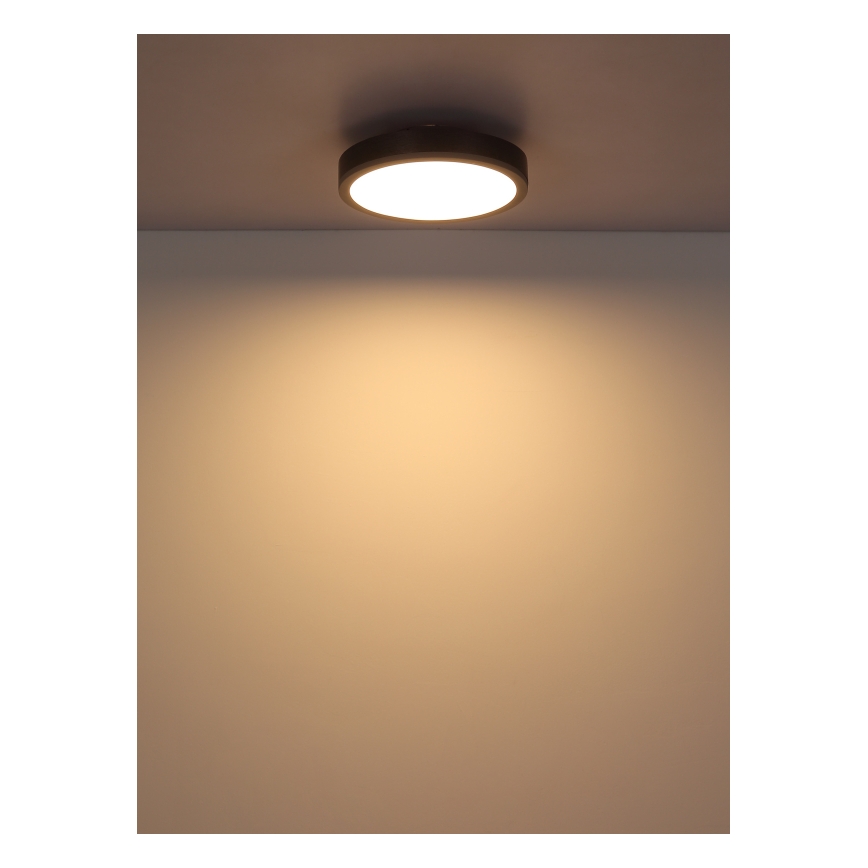 Globo - Iluminação de teto LED LED/12W/230V 3000K diâmetro 30 cm