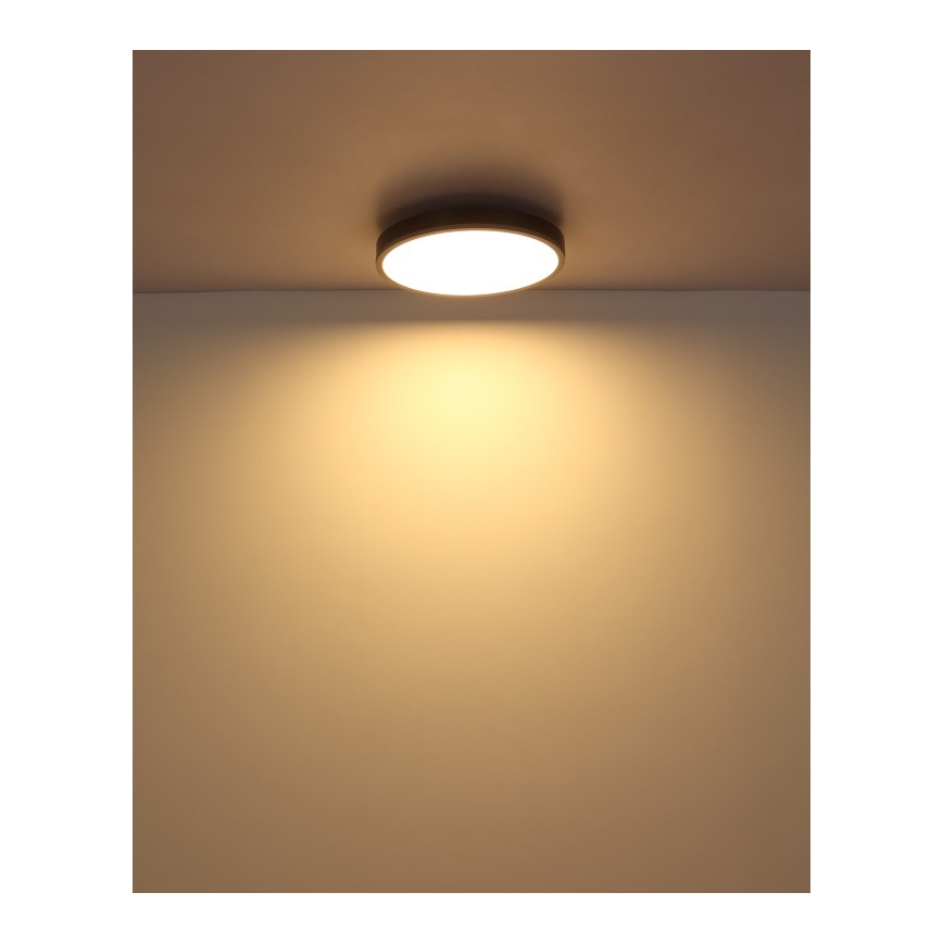 Globo - Iluminação de teto LED LED/24W/230V 3000K diâmetro 45 cm