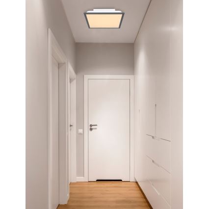 Globo - Iluminação de teto LED LED/12W + LED/4W/230V