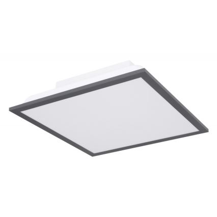 Globo - Iluminação de teto LED LED/12W + LED/4W/230V