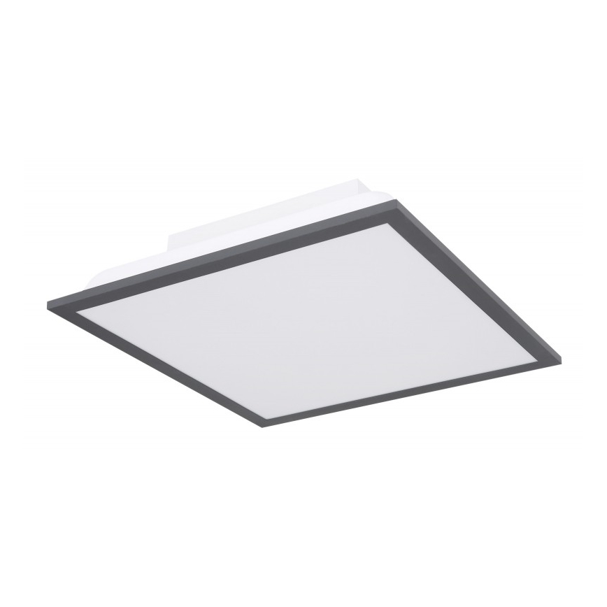 Globo - Iluminação de teto LED LED/12W + LED/4W/230V