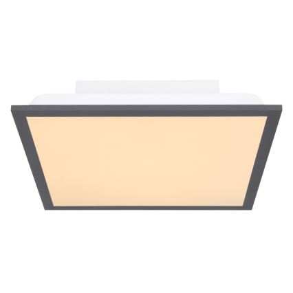 Globo - Iluminação de teto LED LED/12W + LED/4W/230V
