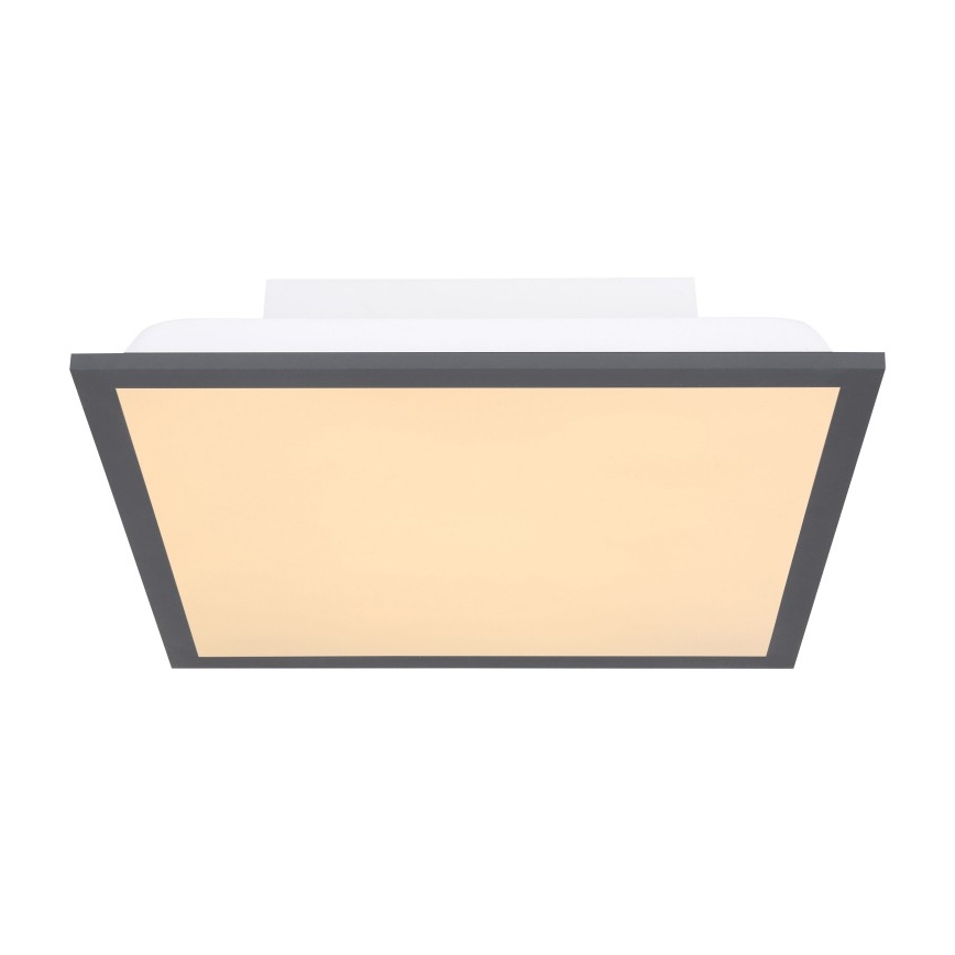 Globo - Iluminação de teto LED LED/12W + LED/4W/230V