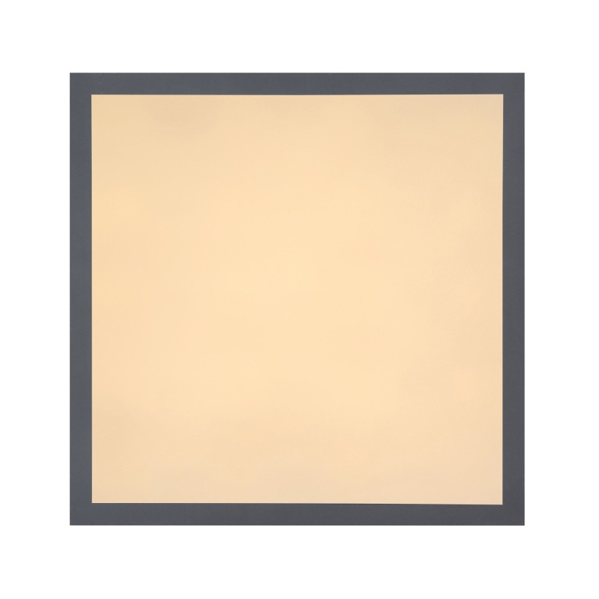 Globo - Iluminação de teto LED LED/12W + LED/4W/230V