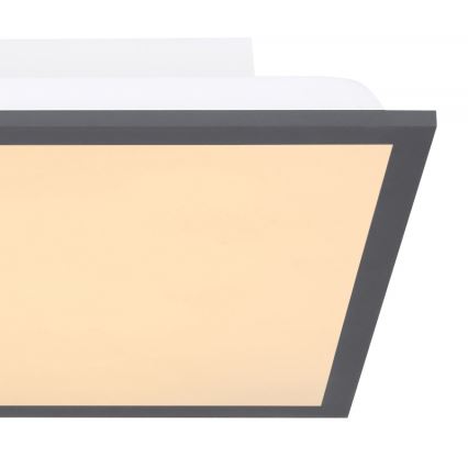 Globo - Iluminação de teto LED LED/12W + LED/4W/230V