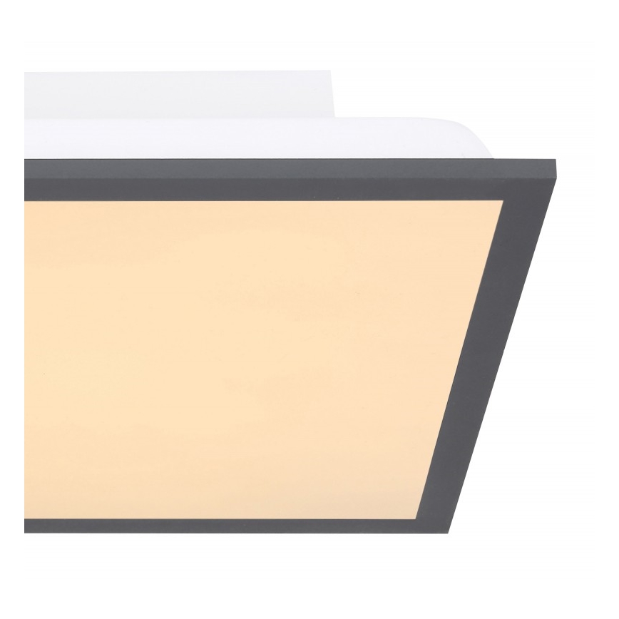 Globo - Iluminação de teto LED LED/12W + LED/4W/230V