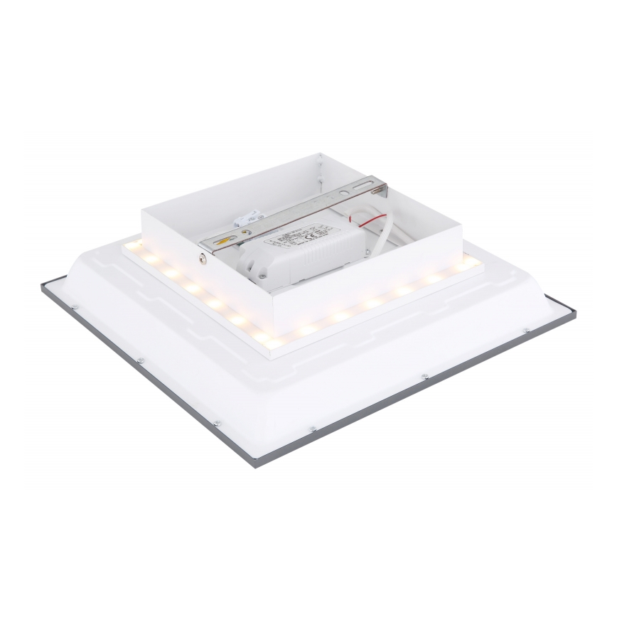 Globo - Iluminação de teto LED LED/12W + LED/4W/230V