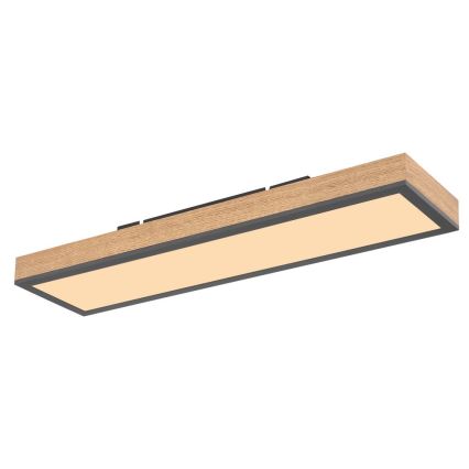 Globo - Iluminação de teto LED LED/18W/230V