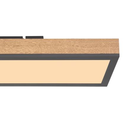 Globo - Iluminação de teto LED LED/18W/230V