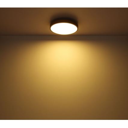 Globo - Iluminação de teto LED LED/12W/230V d. 30 cm