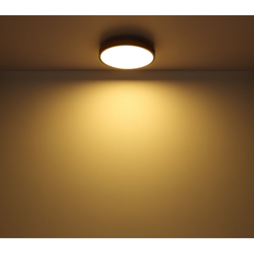 Globo - Iluminação de teto LED LED/12W/230V d. 30 cm