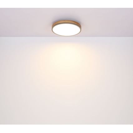 Globo - Iluminação de teto LED LED/12W/230V d. 30 cm