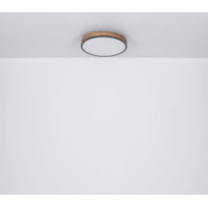 Globo - Iluminação de teto LED LED/12W/230V d. 30 cm