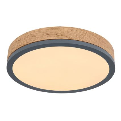 Globo - Iluminação de teto LED LED/12W/230V d. 30 cm
