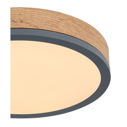 Globo - Iluminação de teto LED LED/12W/230V d. 30 cm