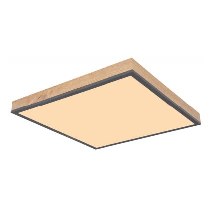 Globo - Iluminação de teto LED LED/24W/230V