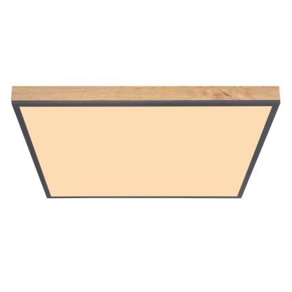 Globo - Iluminação de teto LED LED/36W/230V