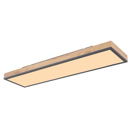 Globo - Iluminação de teto LED com regulação LED/24W/230V 2700-6500K + comando