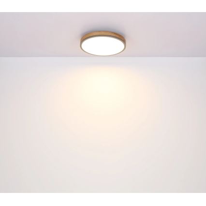 Globo - Iluminação de teto LED com regulação LED/40W/230V 2700-6500K diâmetro 60 cm + comando castanho/cinzento
