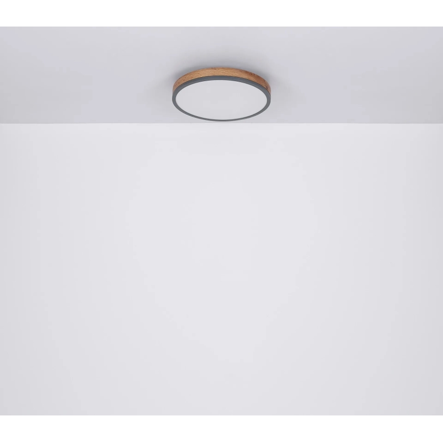 Globo - Iluminação de teto LED com regulação LED/40W/230V 2700-6500K diâmetro 60 cm + comando castanho/cinzento