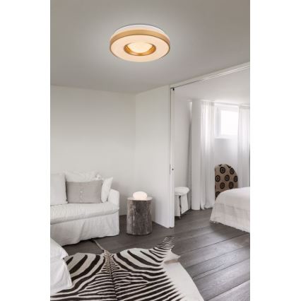 Globo - Iluminação de teto LED LED/24W/230V