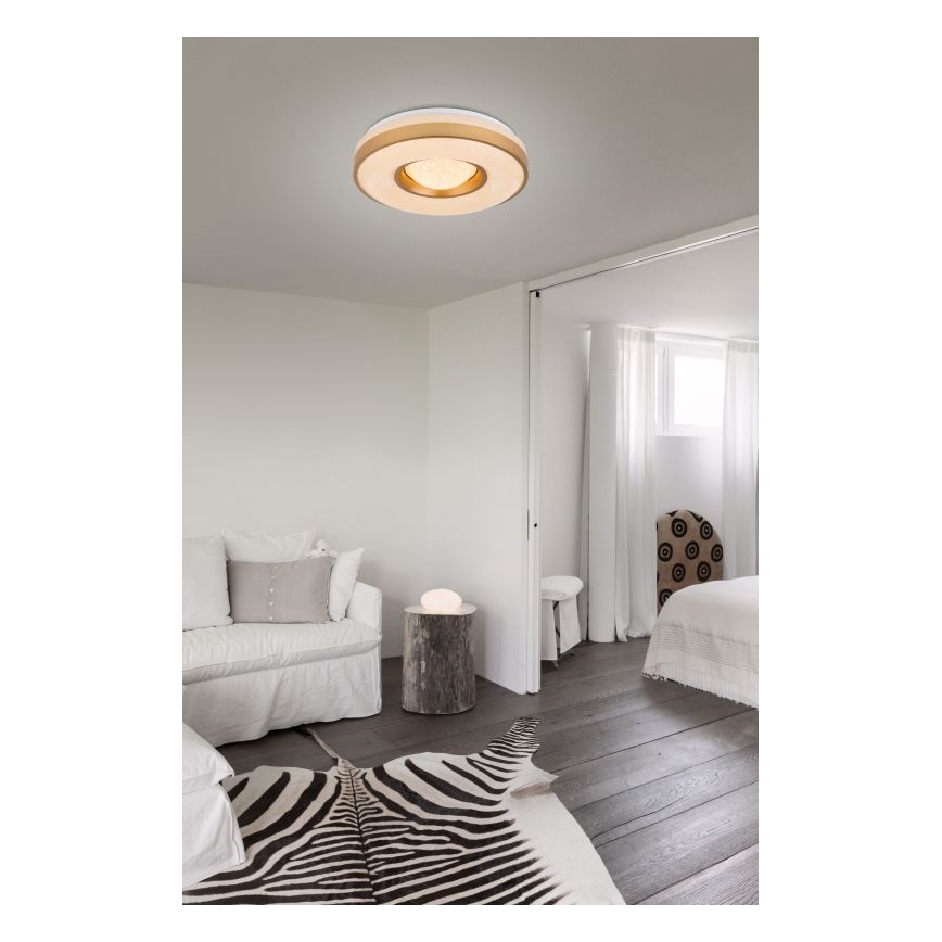 Globo - Iluminação de teto LED LED/24W/230V