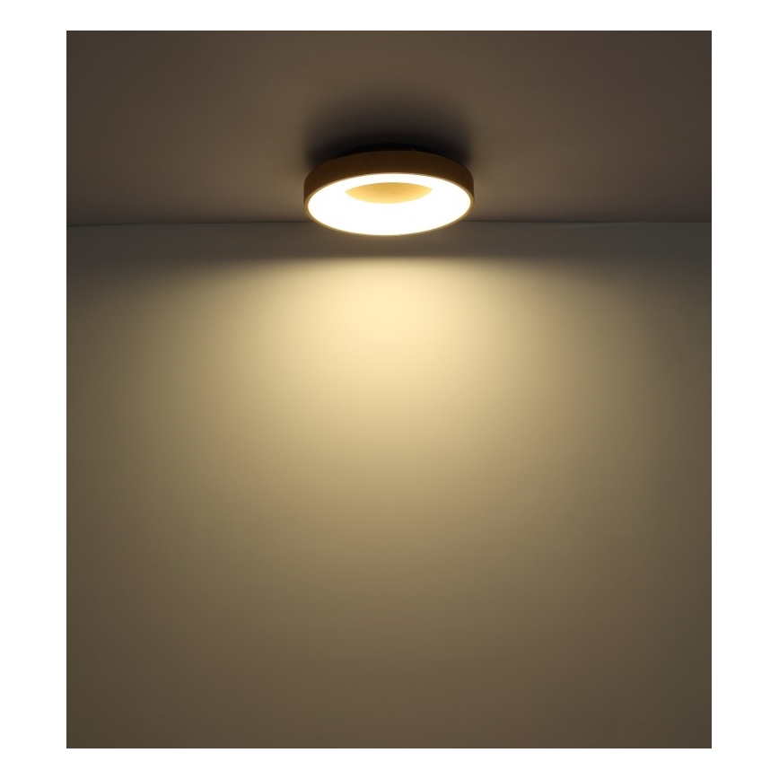 Globo 41758-30 - Iluminação para teto LED com regulação JOLLI LED/30W/230V + CR