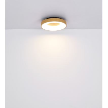 Globo 41758-30 - Iluminação para teto LED com regulação JOLLI LED/30W/230V + CR
