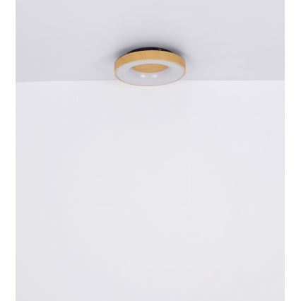 Globo 41758-30 - Iluminação para teto LED com regulação JOLLI LED/30W/230V + CR