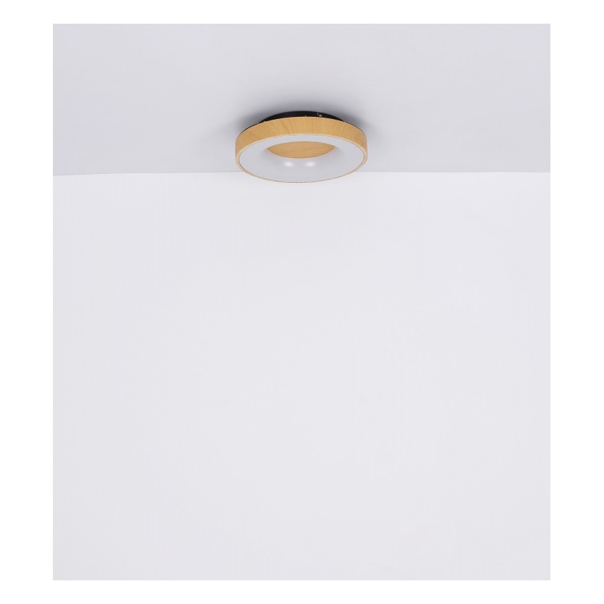 Globo 41758-30 - Iluminação para teto LED com regulação JOLLI LED/30W/230V + CR