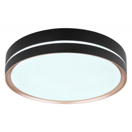Globo - Iluminação de teto LED com regulação LED/24W/230V + controlo remoto