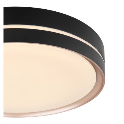 Globo - Iluminação de teto LED com regulação LED/24W/230V + controlo remoto