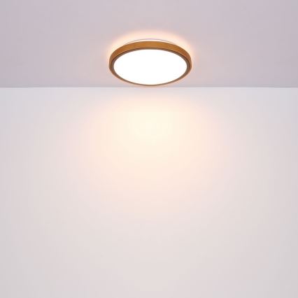 Globo - Iluminação de teto LED LED/12W/230V 307 mm 3000/4500/6000K