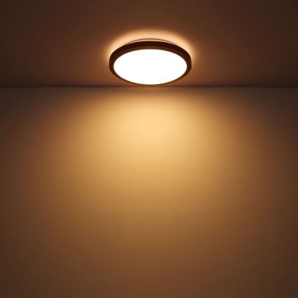 Globo - Iluminação de teto LED LED/24W/230V 3000/4500/6000K diâmetro 43,7 cm