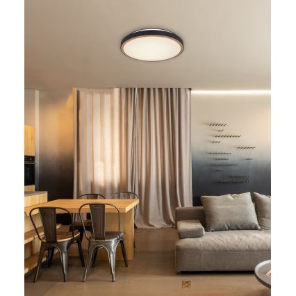 Globo - Iluminação de teto LED LED/24W/230V 3000/4500/6000K diâmetro 42 cm