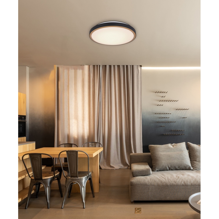 Globo - Iluminação de teto LED LED/24W/230V 3000/4500/6000K diâmetro 42 cm