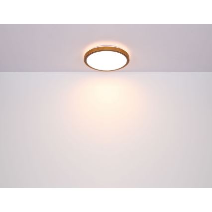 Globo - Iluminação de teto LED LED/24W/230V 3000/4500/6000K diâmetro 42 cm