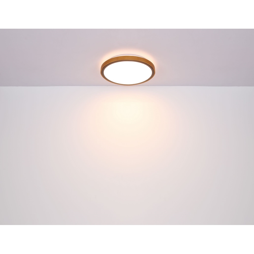 Globo - Iluminação de teto LED LED/24W/230V 3000/4500/6000K diâmetro 42 cm
