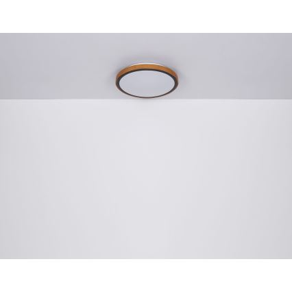 Globo - Iluminação de teto LED LED/24W/230V 3000/4500/6000K diâmetro 42 cm