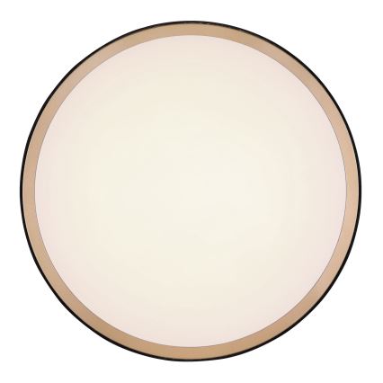 Globo - Iluminação de teto LED LED/24W/230V 3000/4500/6000K diâmetro 42 cm
