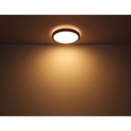 Globo - Iluminação de teto LED LED/24W/230V 3000/4500/6000K diâmetro 42 cm