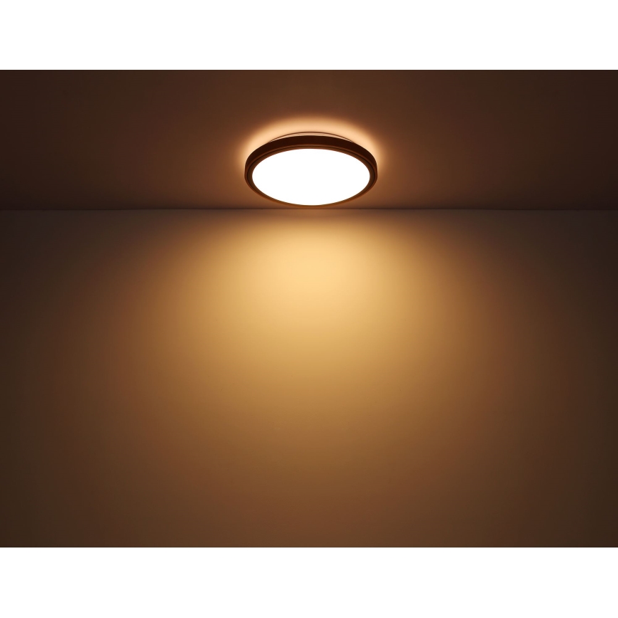 Globo - Iluminação de teto LED LED/24W/230V 3000/4500/6000K diâmetro 42 cm