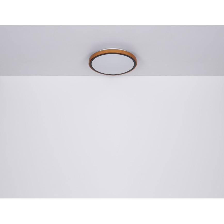 Globo - Iluminação de teto LED LED/24W/230V 3000/4500/6000K diâmetro 42 cm