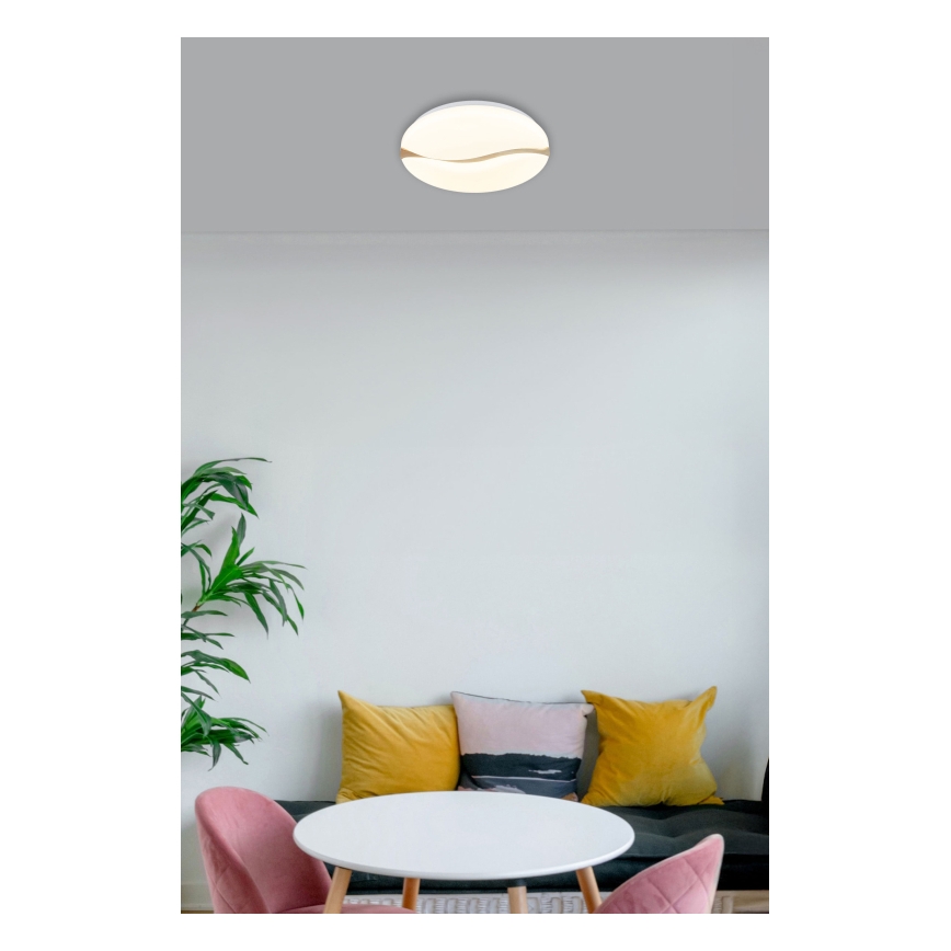 Globo - Iluminação de teto LED LED/24W/230V 3000/4200/6000K diâmetro 33 cm
