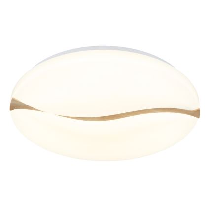 Globo - Iluminação de teto LED LED/24W/230V 3000/4200/6000K diâmetro 33 cm