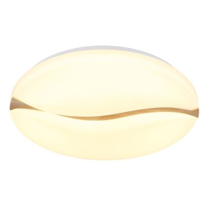 Globo - Iluminação de teto LED LED/24W/230V 3000/4200/6000K diâmetro 33 cm