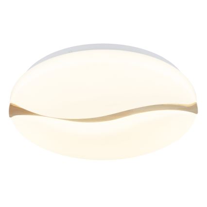 Globo - Iluminação de teto LED LED/24W/230V 3000/4200/6000K diâmetro 39 cm