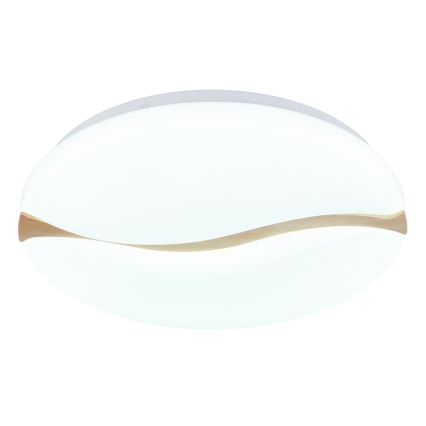 Globo - Iluminação de teto LED LED/24W/230V 3000/4200/6000K diâmetro 39 cm